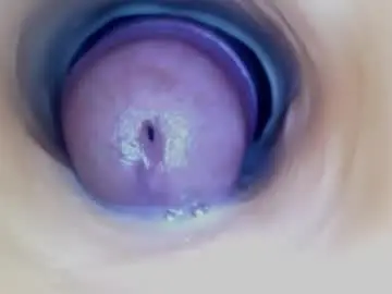 Chaturbate Live Porn of paulainoscente