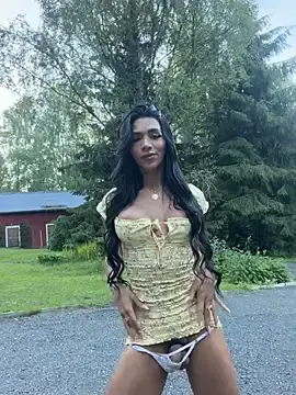 Stripchat Adult Webcams of divavirtual11